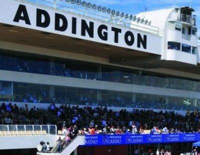 Race recaps and replays from Cup Day at Addington – Harnesslink.